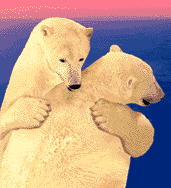 Bears Hugging