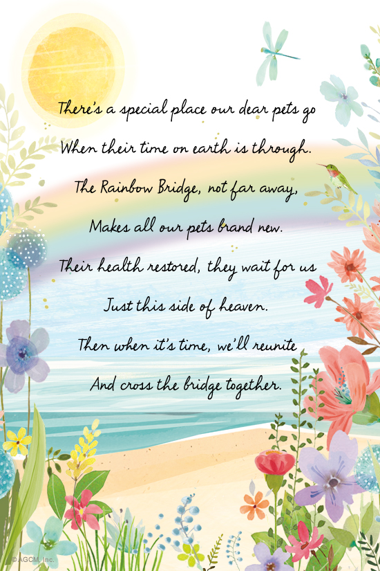 Rainbow Bridge Poem Sympathy Ecard Blue Mountain Ecards