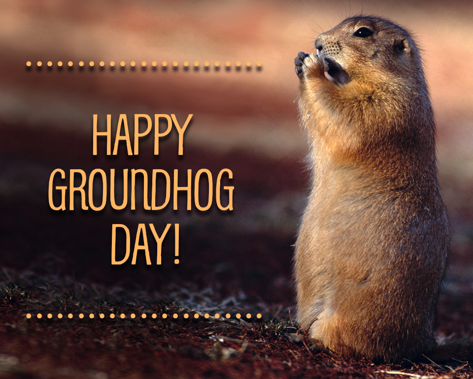 "Groundhog Day 2/2" Ecards Blue Mountain