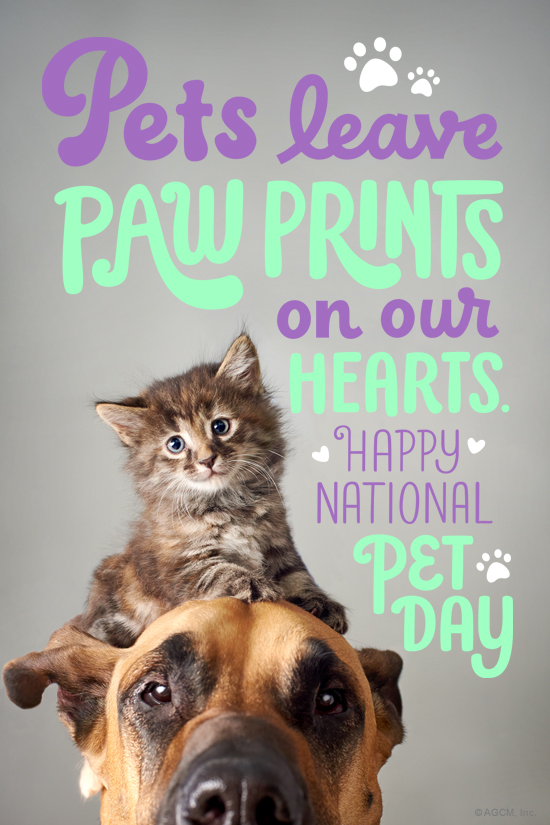"National Pet Day 4/11" | Holidays eCard | Blue Mountain eCards