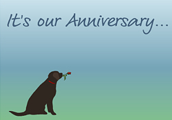It's Our Anniversary