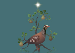 The Twelve Days of Christmas