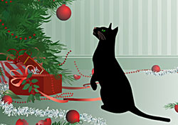 Cat and Bauble