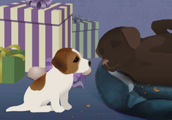 Too Many Treats (Birthday)