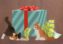 Birthday Bundle