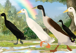 Fowl Weather