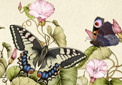 Happy Birthday! Butterfly Bouquet e-card by Jacquie Lawson