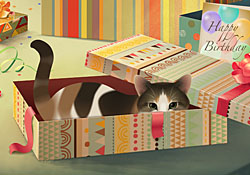 Happy Birthday Feline Frolics E Card By Jacquie Lawson