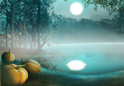 Moonlit Magic JL Video Add-on