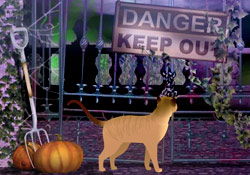 Scaredy Cat JL Video Add-on