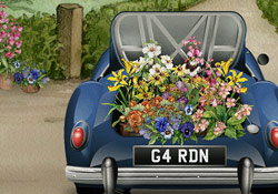 Colourful Cargo JL Video Add-on