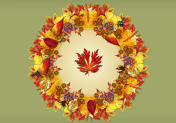 Autumn Kaleidoscope JL Video Add-on