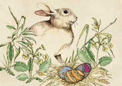 Spring to Life