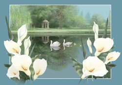 Swan Lake (New Baby version)