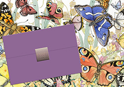 Placeholder Title- Butterfly Notecard