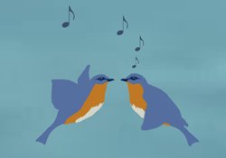 A little bird told me