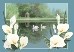 Swan Lake