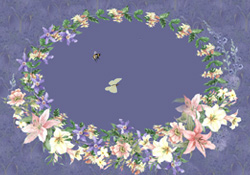 The Bee and the Butterfly