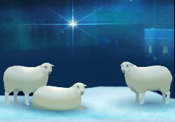 Silent Night