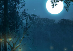 Clair de Lune (Birthday)