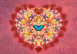 Butterfly Ballet