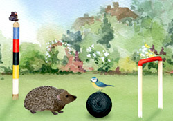Croquet Match