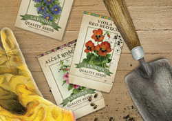 Seeds of Inspiration
