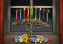 Colourful Candles