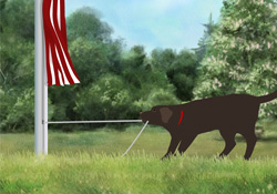 Raise the Flag