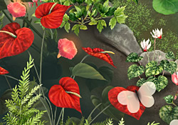 Hearts in Nature