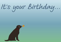 How old are you? (adults)