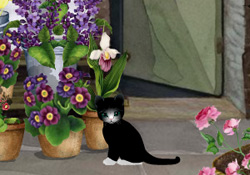 The Florist