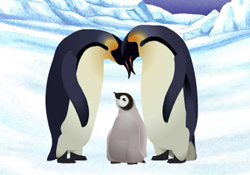 Penguin Party