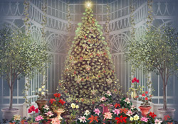 Christmas Greenhouse