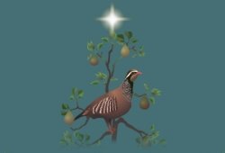 The Twelve Days of Christmas