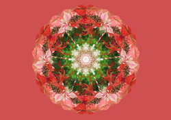 Christmas Kaleidoscope