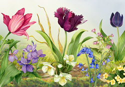 Floral Awakening