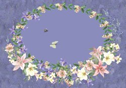 The Bee and the Butterfly
