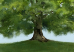 Great Oaks