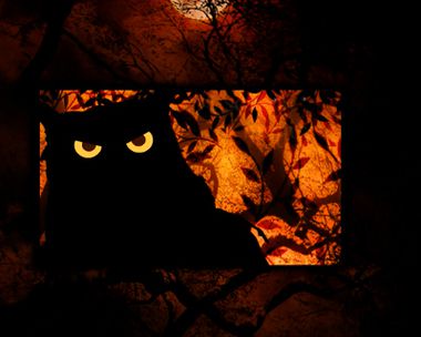 Magical Wish for You