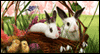 Happy Easter!