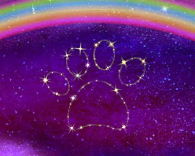 Pet Sympathy Ecards Blue Mountain