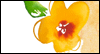 Celebrating<br>My Daughter<br>Kathy Davis