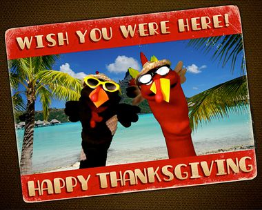 Turkey Puppet Duet Thanksgiving eCards