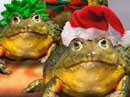 Mistletoad Jingle Christmas eCards