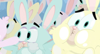 bunny-fun