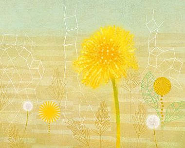 Anything is Possible