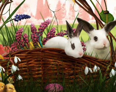 Spring Birthday Spring eCards