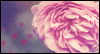 The Seasons of Love