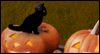 Light Up the Night<br>Bewitched Theme Song